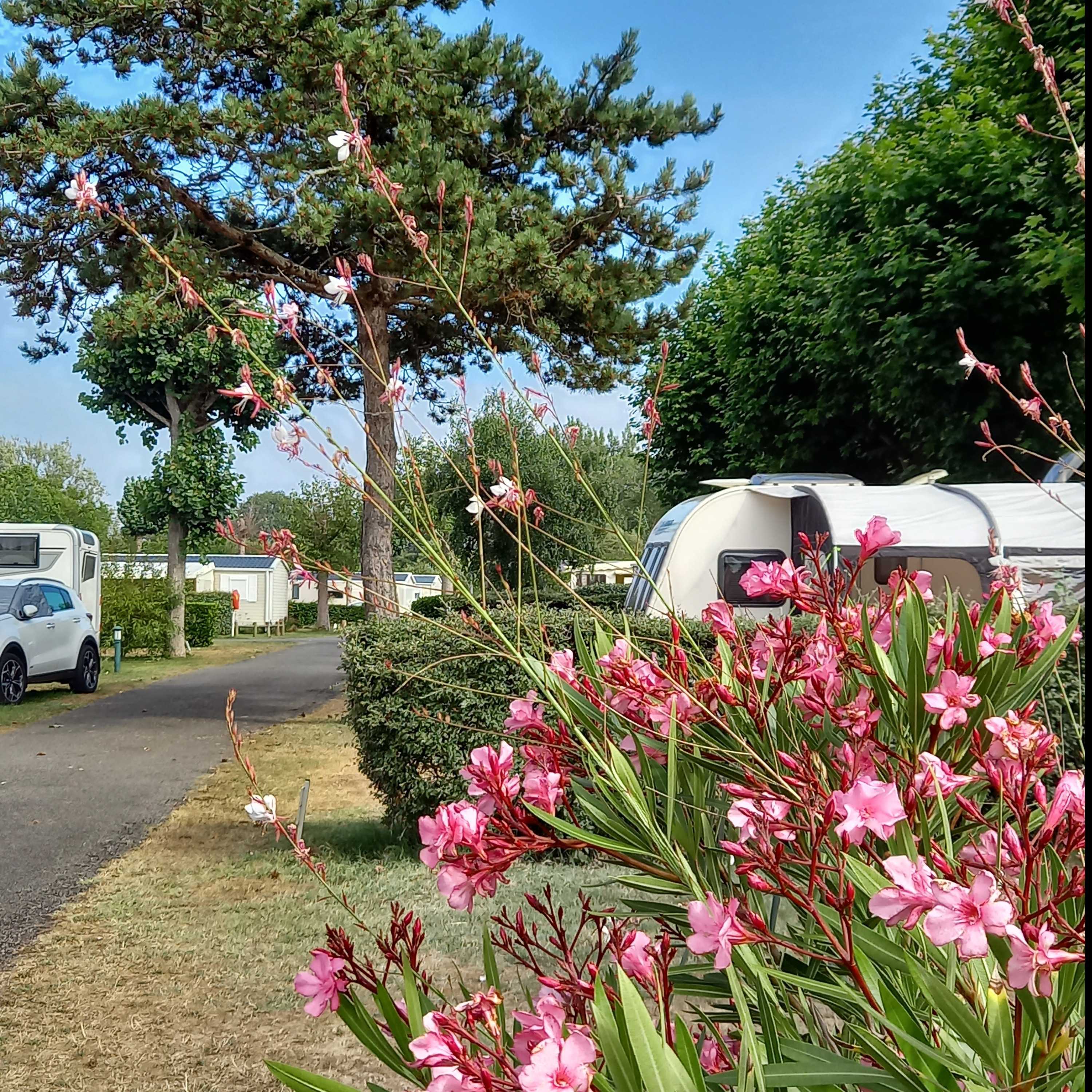 Emplacement caravane – de 7m50 (1 véhicule, eau, electricité, évacuation eaux usées) 1/2 Pers.