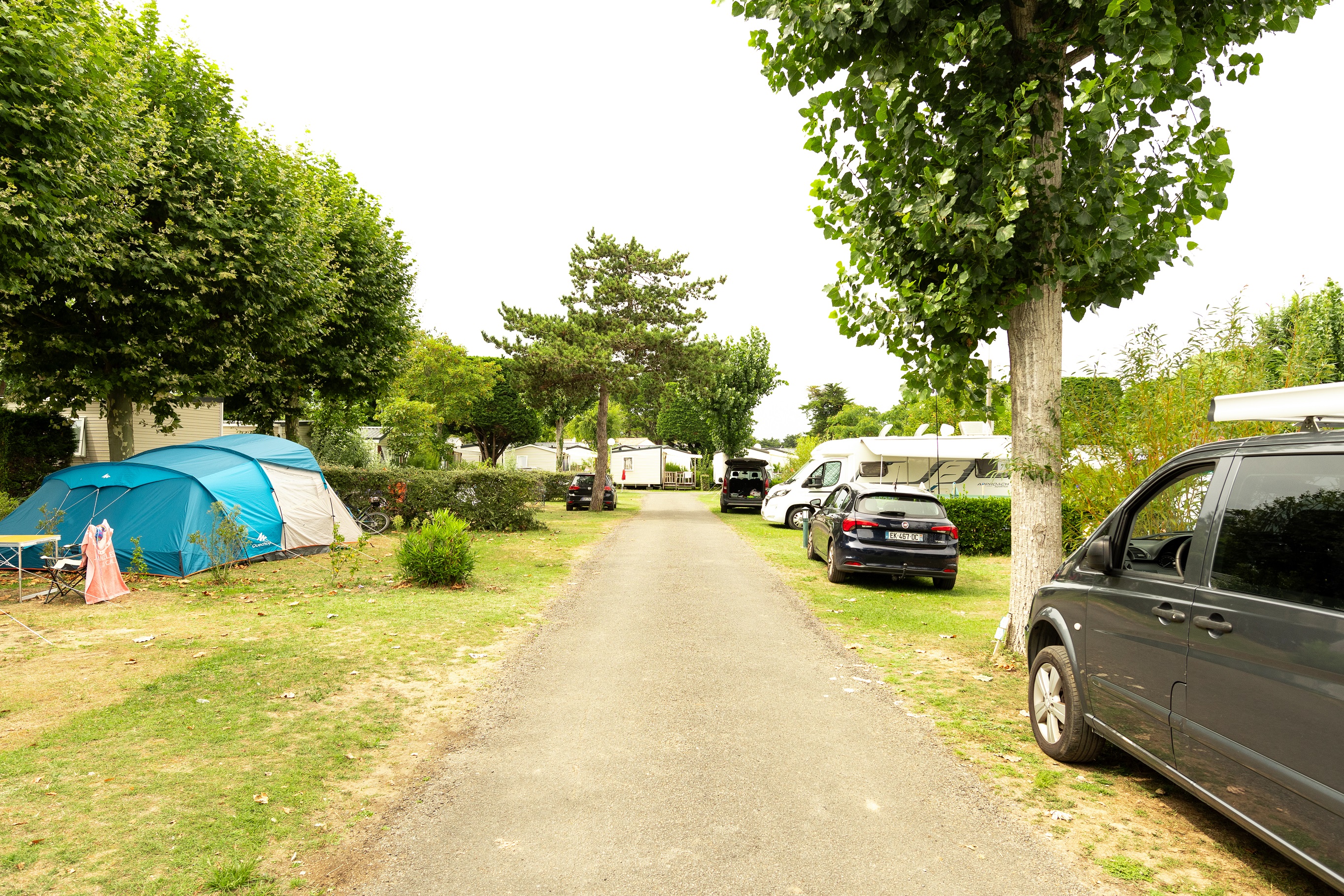 Emplacement tente ou caravane pliante – de 7m50 (eau, electricité, 1 véhicule ) 1/2 Pers.